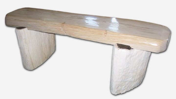 Three-Part Petrified Wood Bench (53" x 18" x 18")