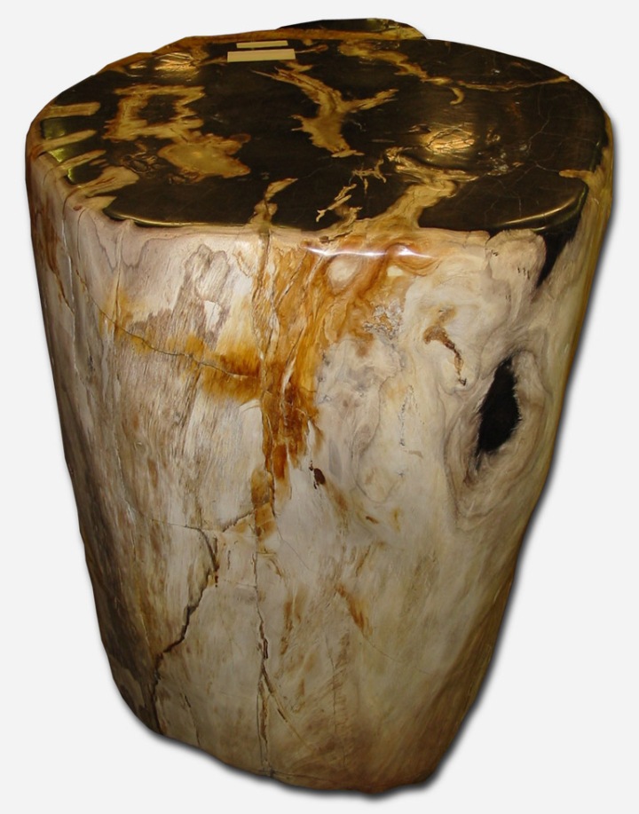 Petrified log with red-orange highlights